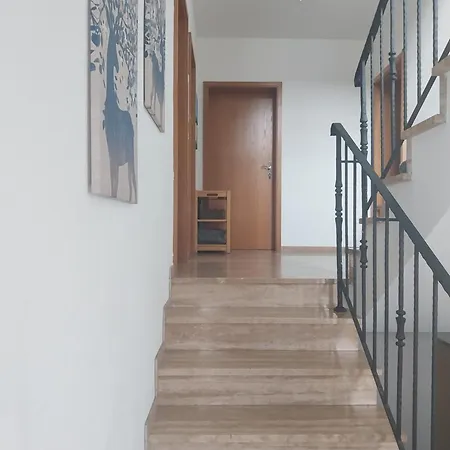 Weinberg Mit Tollem Moselblick