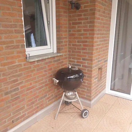 Weinberg Mit Tollem Moselblick