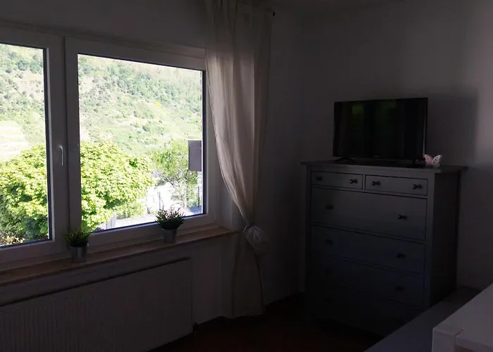 Apartment Weinberg Mit Tollem Moselblick Oberfell