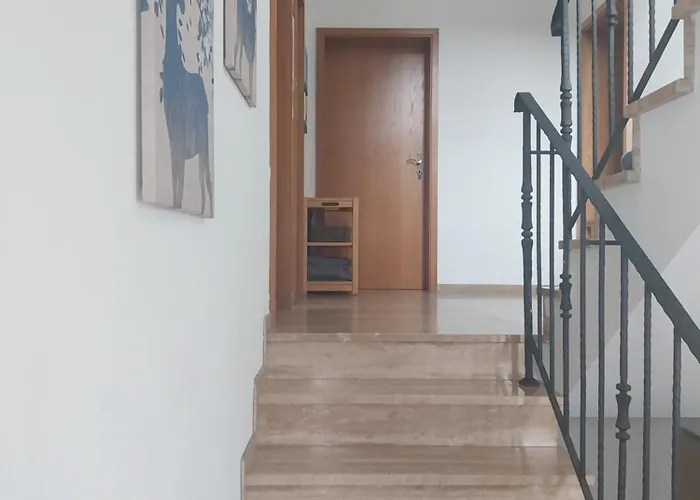 Weinberg Mit Tollem Moselblick